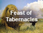 Feast of Tabernacles Sermons