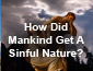 How Did Mankind Get a Sinful Nature?