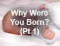Why Were You Born Pt1