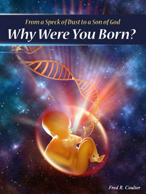 Why Were You Born? Free Book