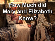 How Much did Mary and Elizabeth Know?