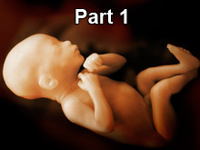 abortion-pt1