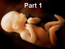 abortion-pt1