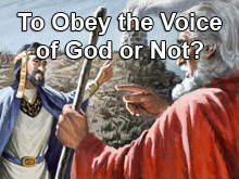 To Obey the Voice of God or Not?