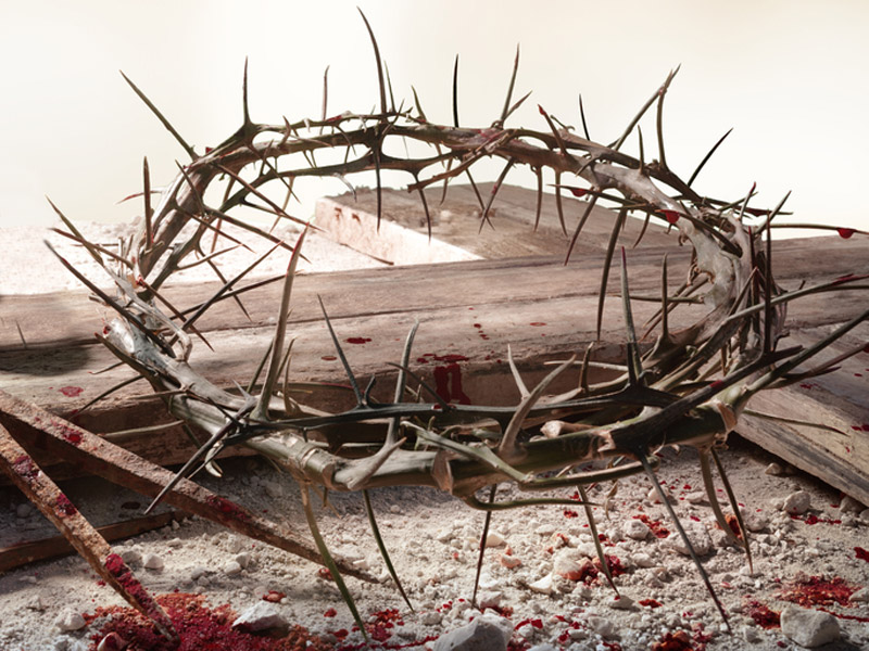 Why Did Jesus Have to Shed His Blood? Part 3