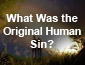 What Was the Original Human Sin?