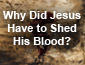 Why did Jesus have to shed His blood?